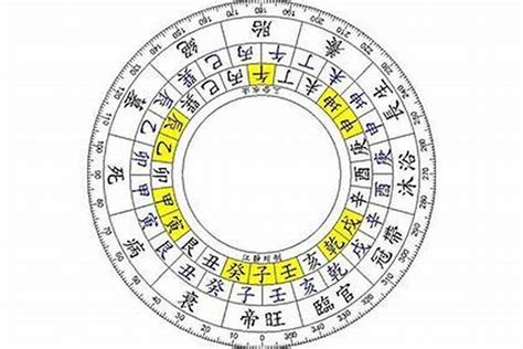 辰戌丑未全|命理入門：什麼是辰戌丑未四庫、四墓詳解－辰土